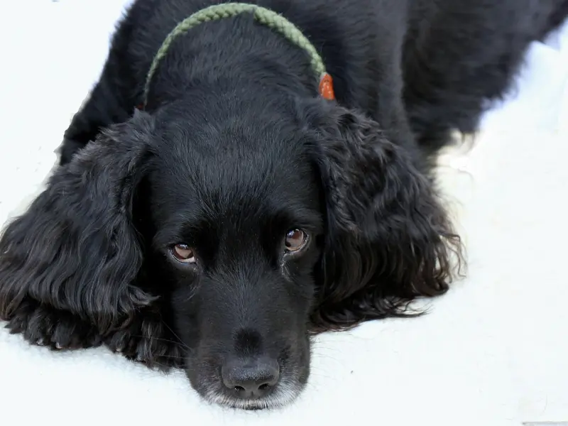 中年女人让你看这个地方，暗示她对你动情了！