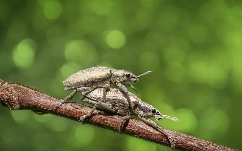 失恋女生必看：挽回男友常犯的错误