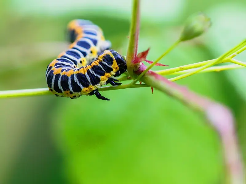 挽回必读，因为这关乎你未来的幸福