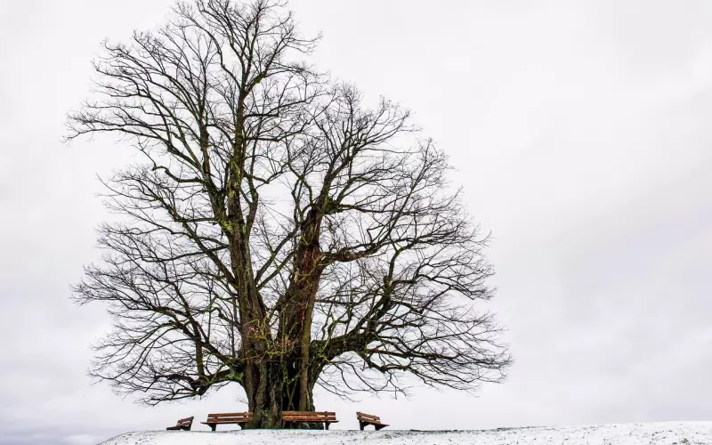 挽回女友必看攻略：学会这三招，重新挽回女友的爱情