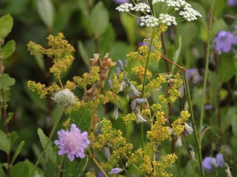 男女必看！什么样的女人会让男人“上瘾”一辈子？