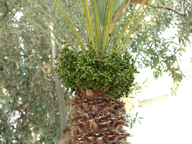 男人必看！女人的这些话是千万不能相信的