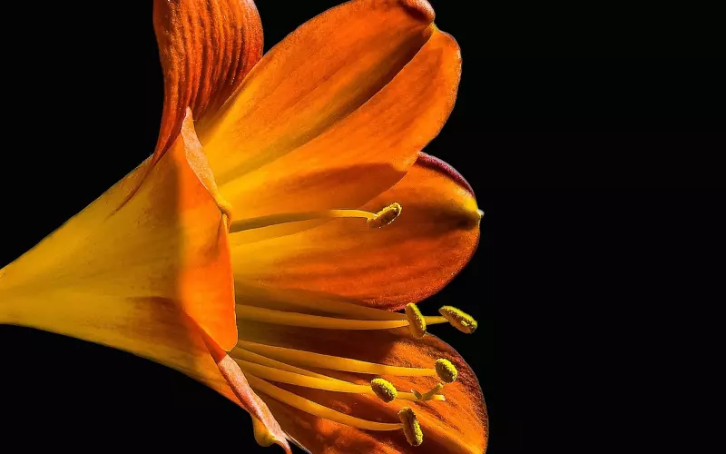 缝缝补补的爱情，无法挽回的遗憾