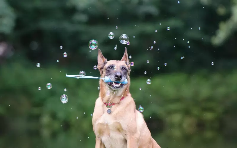 一个人，难过了…