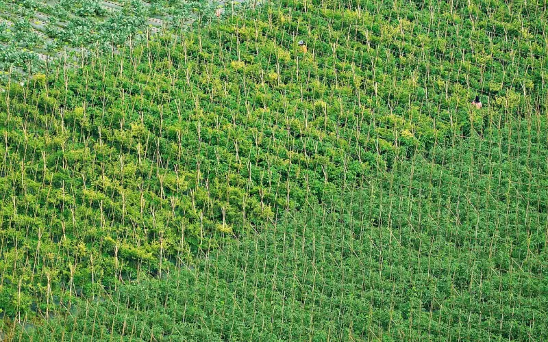 一个人最好的修养（值得收藏）