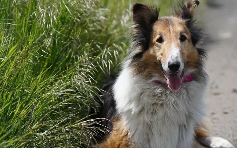 人的运气好坏，都有因果！