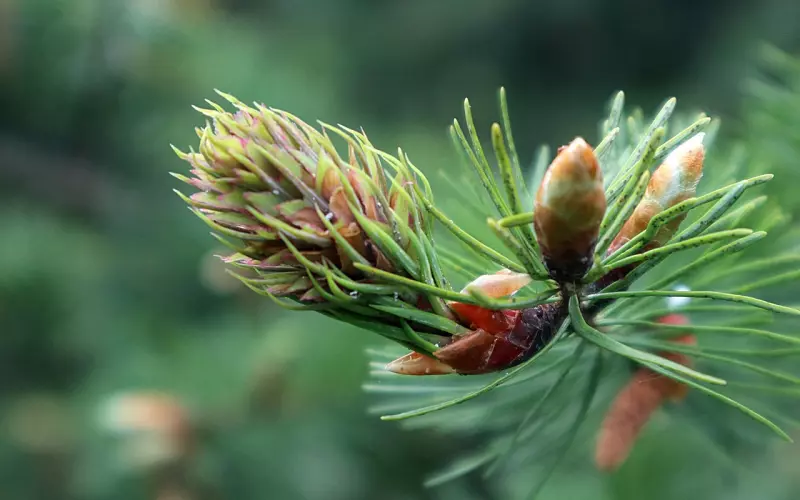 一个人的成熟，从沉默开始
