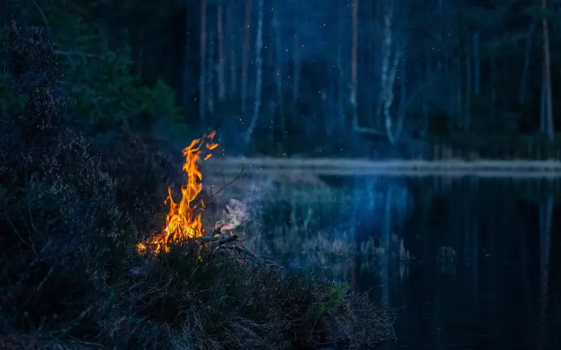 2020很火的一句话正能量早安心语