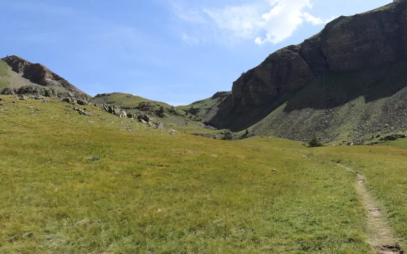 成功恋爱实用指南