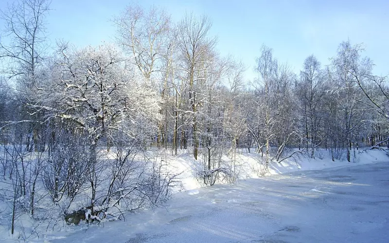 心好累了的伤感说说，送给很累很累的你
