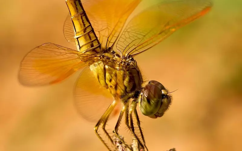 男生分手后伤感QQ个性签名