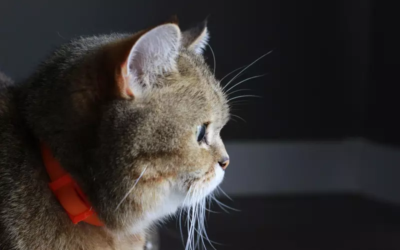 我喜欢的一句话