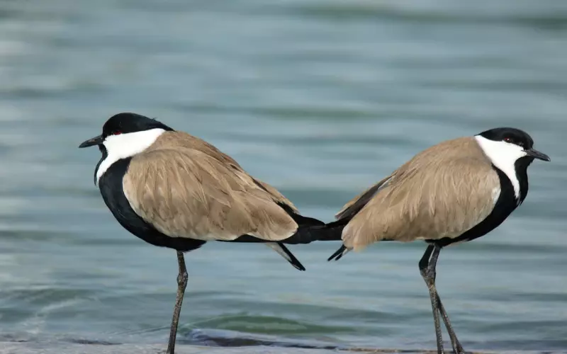 朋友圈简短入心的正能量一句话
