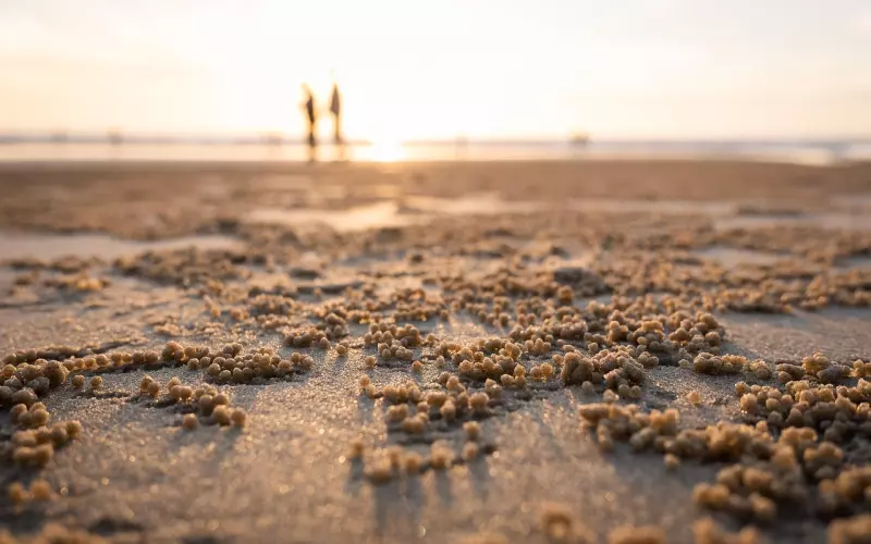 2019致自己的正能量简单一句话