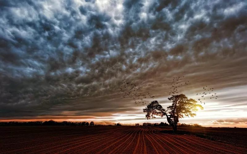 一句话的简单心情签名, 句句深同感受!