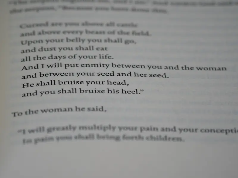 聪明的女人，一定不会爱上这种男人！