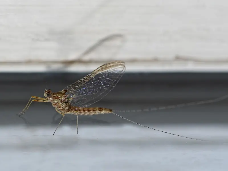 聪明的女人，不会轻易给男人这三样东西，你知道哪三样吗？