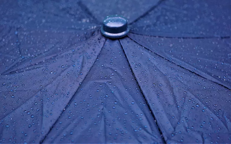 一曲《风中飘落相思雨》 静 听 心 雨！