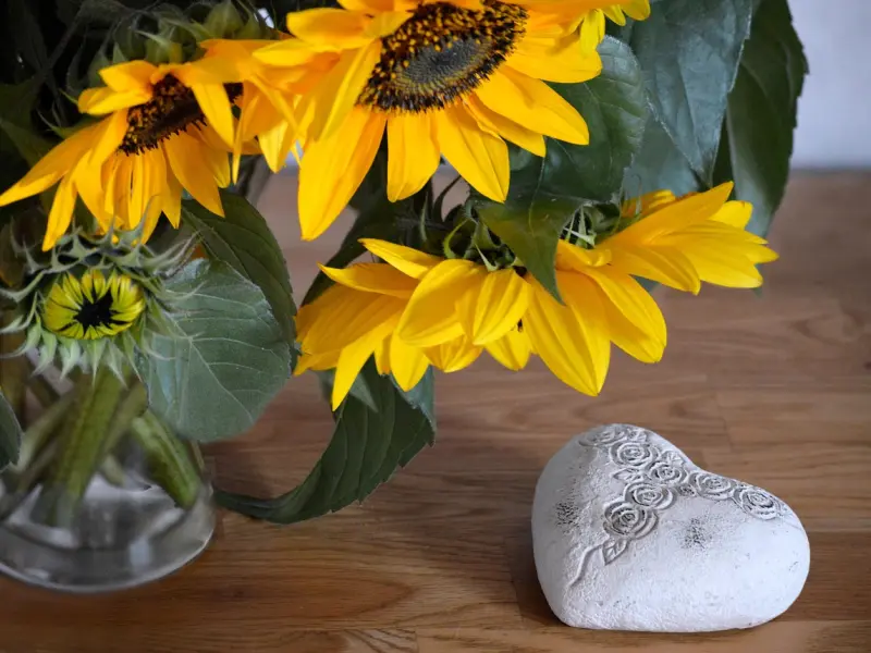 ♬  一曲《我在前世约了你》送给牵挂思念的你！