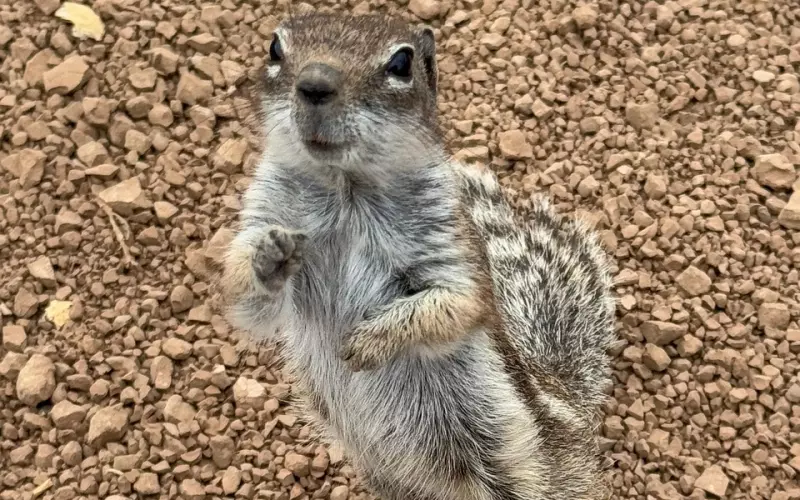 一曲《想让雨滴问问你》，今夜的你会在哪里？