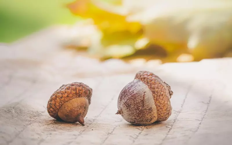 惯子如杀子，九大惯子特征，家长必看！