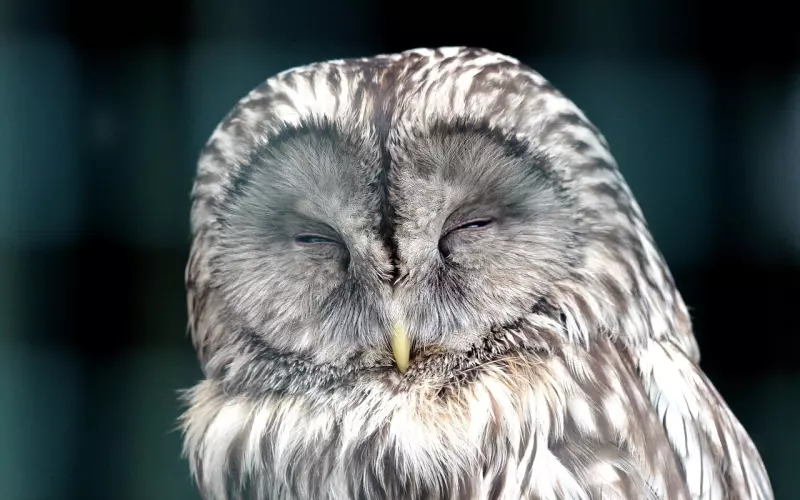 分手后手把手教你挽回前男友，爱情的路上不平坦