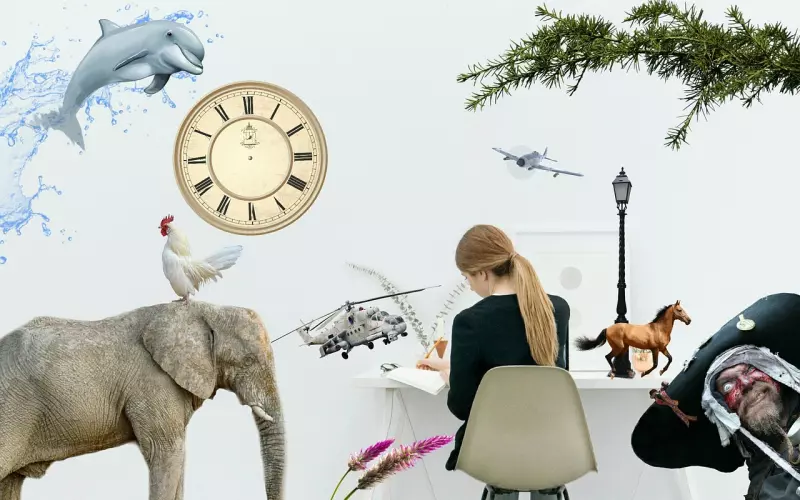 关于一段如何挽回前任的故事