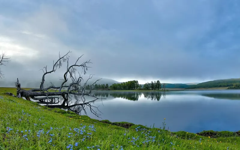 分手初期挽回的一个狠招，别怪我不早说！