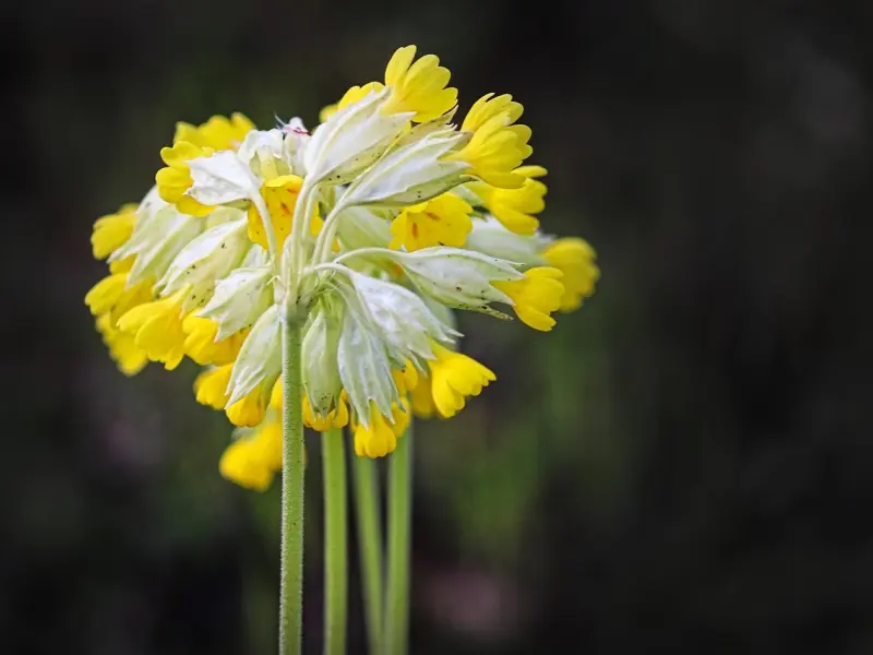 真正动情的男人，会有这九个表现，看看你的男人中了几个