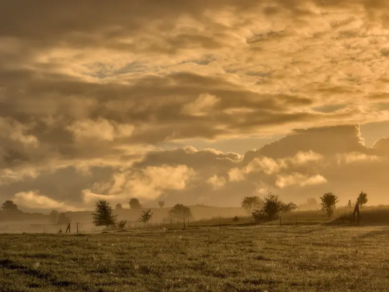 女人一定要知道的一个恋爱真相，越早越好！