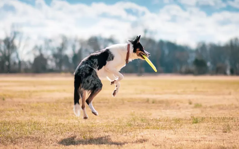 非常精彩的句子，适合拿来发朋友圈！