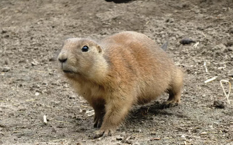 妻子，决定一个家庭的幸福！