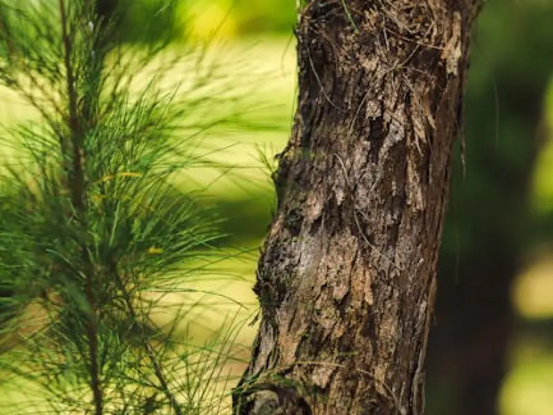 女人看似不理你，其实心里很“想你”，会有这3个表现