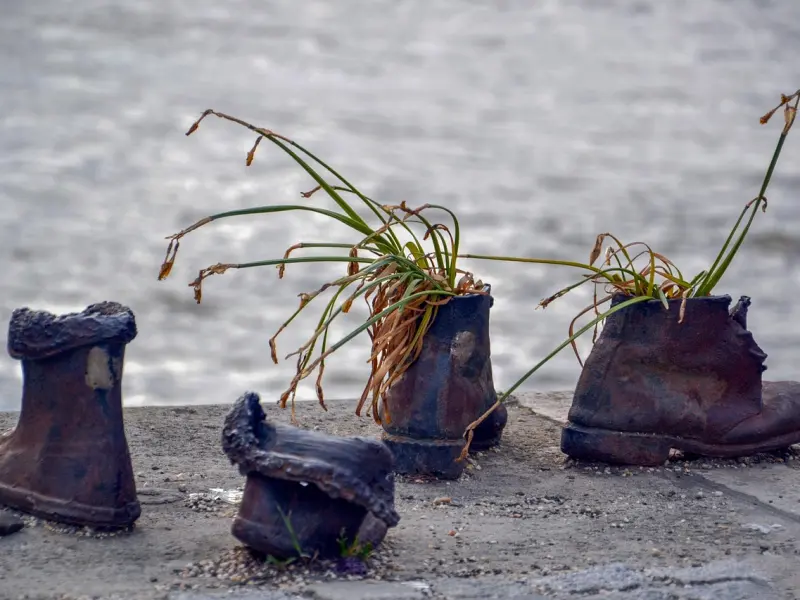 女人太想你了，会主动给你发这5条信息，你懂吗？