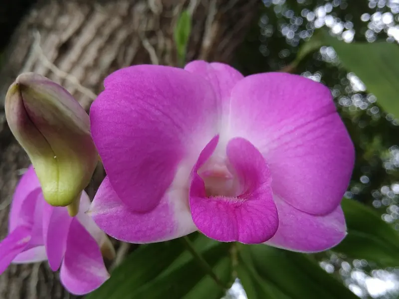 动了情的女人，逃不了这四个表现