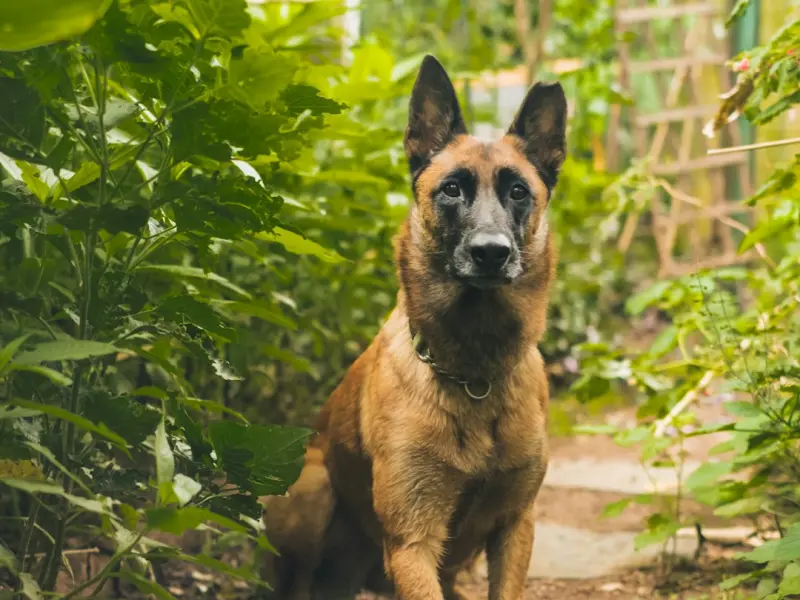 学会这样跟男人吵架的女人，无论怎么吵男人都忍不住挽回你！