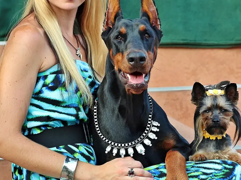 爱你的女人，才会心甘情愿给你这3样东西！