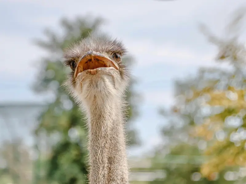 真正懂得经营婚姻的女人，不会把老公当亲人