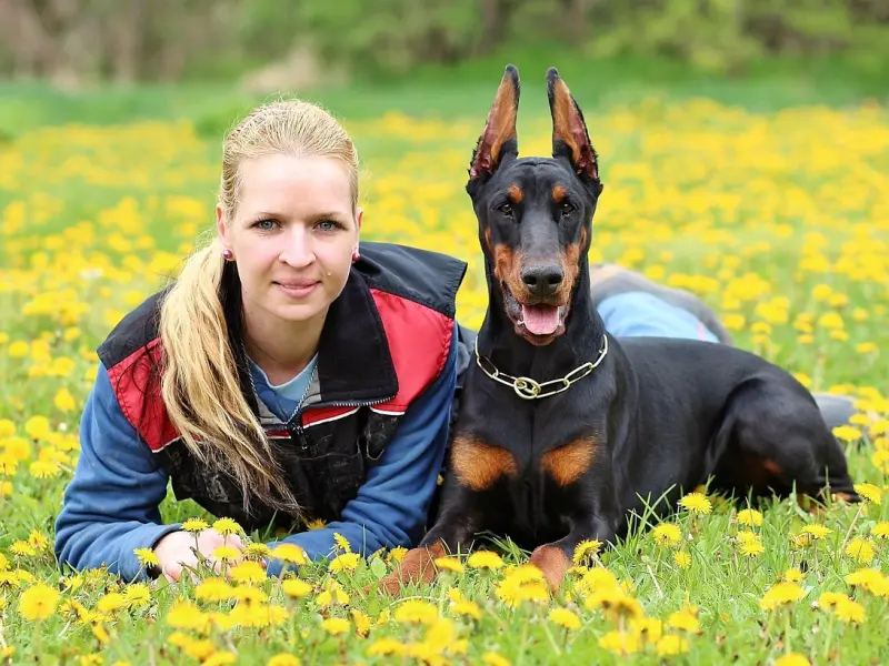 真心爱你的女人，才舍得给你这几样东西
