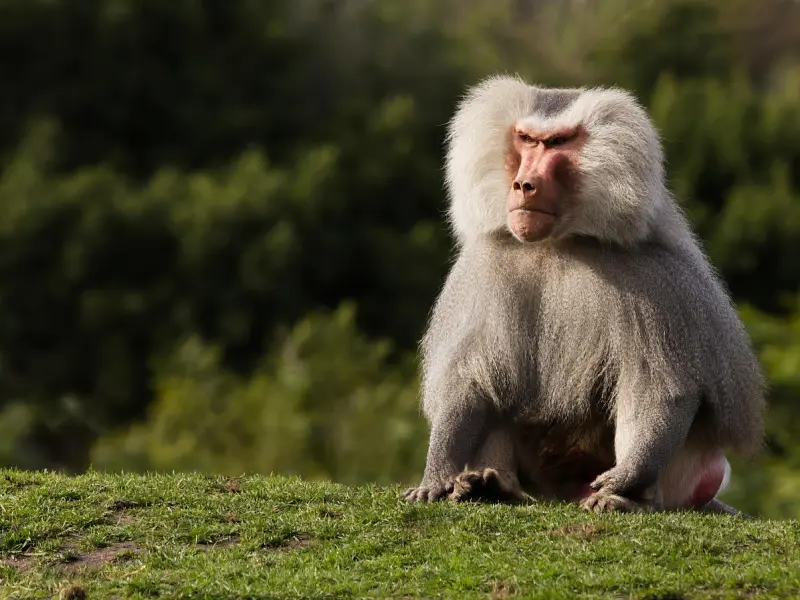异性相处，不自觉的有这些行为的女人，已经爱上你了！