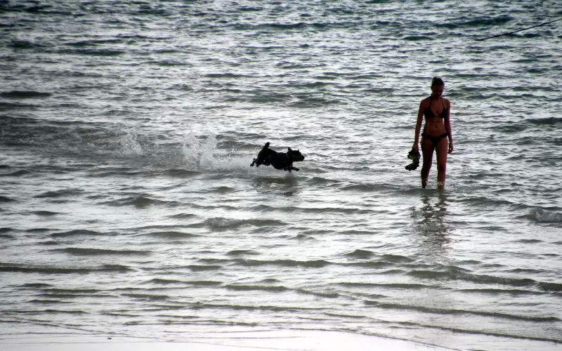 一个女人，想要“泡你”，会轻易喊出“这些”称呼