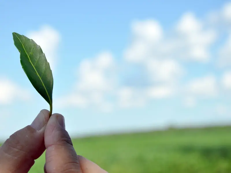 女人对你动了真情，才不会“拒绝”你这3件事，男人别装不懂！