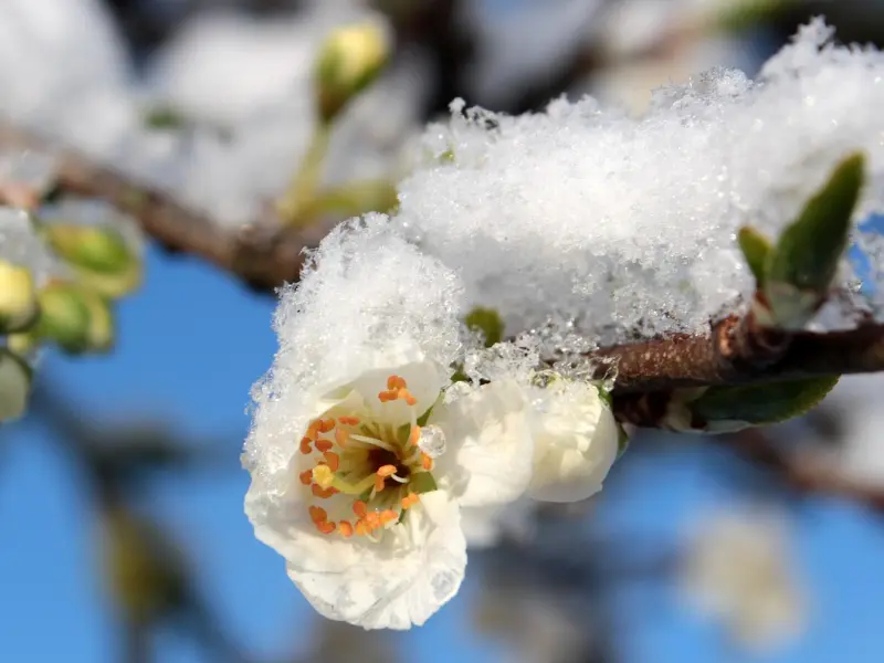女人对你动了心，又动了情，才会有这5种表现！