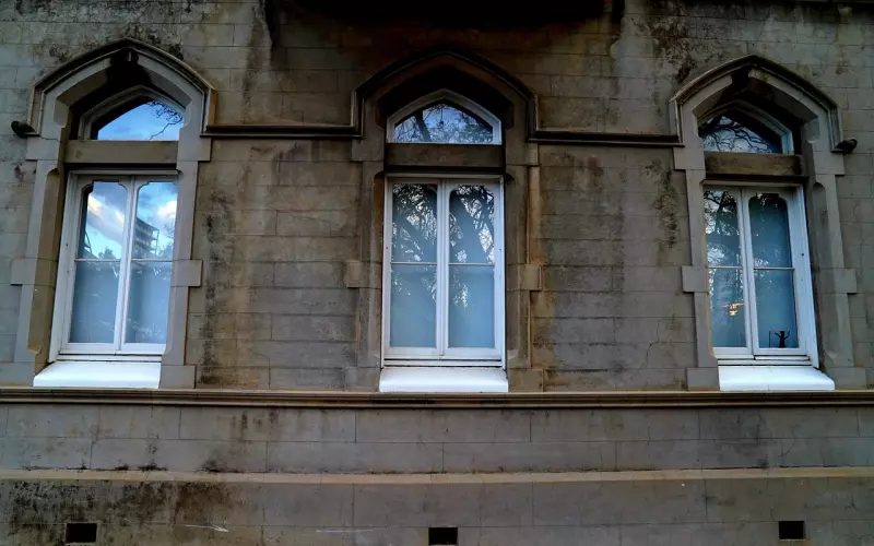 女人对你动了情，才会有这五个表现，中三个她早晚会是你的人