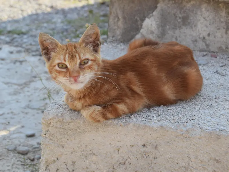 女人对你有所图，才会跟你聊这些事，八成想要发生点啥！