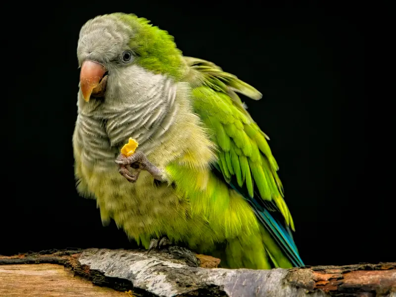 女人对你动了真感情，才会“这样”来对你，真爱