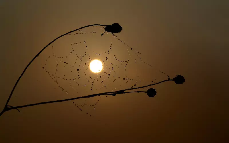 女人的“深处在这里，抓住了就会对你念念不忘！