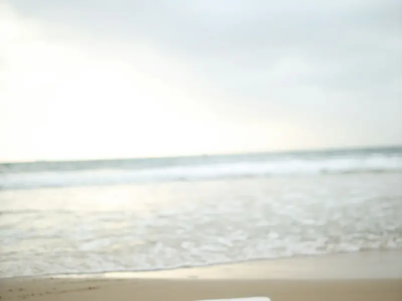 女人真正的资本，不是美貌，也不是金钱