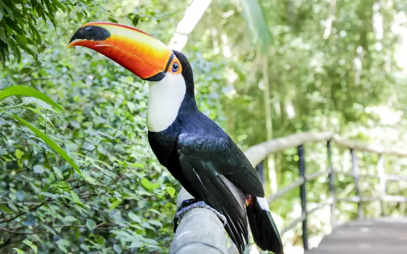 一个情字活一生， 一个钱字累一生