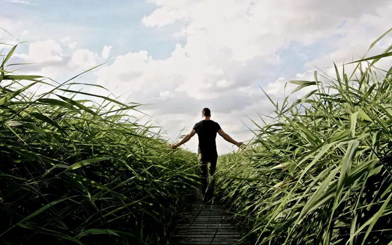 走不进的世界，请回头